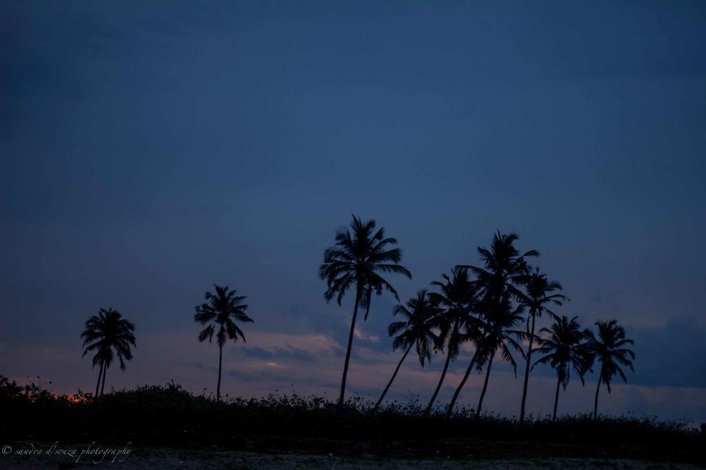 Pele'S Windsong Wood Cottage On The Beach Benaulim Ngoại thất bức ảnh